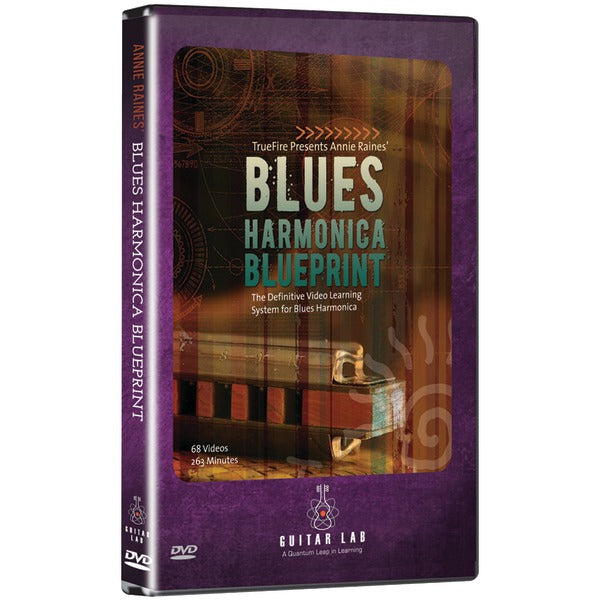 BLUES HRMNICA BLUPRNT DVD