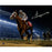 Victor Espinoza Signed Riding California Chrome in Dubai 8x10 Photo