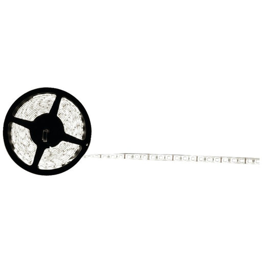 COOL WHT 5050 LED STRIP