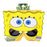 Spongebob Squarepants Sun-Staches                           