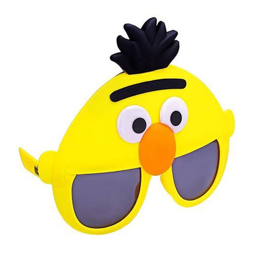 Sesame Street Bert Sun-Staches                              