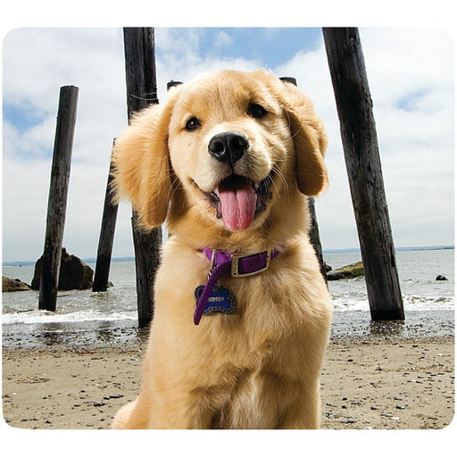 MOUSE PAD PUPPY/BEACH