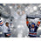 Wayne Gretzky Signed Edmonton Oilers Stanley Cup 16x24 Photo (UDA) (LE/99)