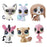 Littlest Pet Shop Single Pets Wave 1 Case                   