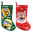 Despicable Me Minions 13-Inch Printed Stocking Master Case  