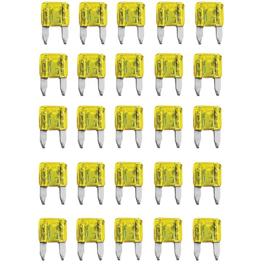 ATM FUSES 25 PK 20A