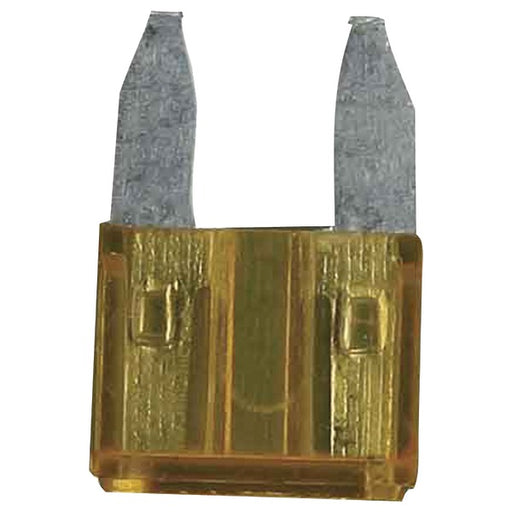 ATM FUSES 25 PK 5A