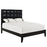 Lola Queen Bed 5019-BLK-SET