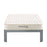 Emma 6" Twin Mattress 5560-WHI