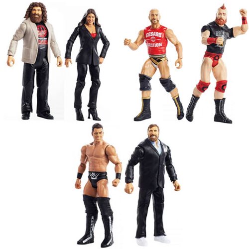 WWE Basic 2-Pack Series 49 Action Figure Case               