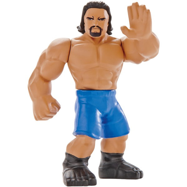 WWE MIGHTY MINIS FIGS