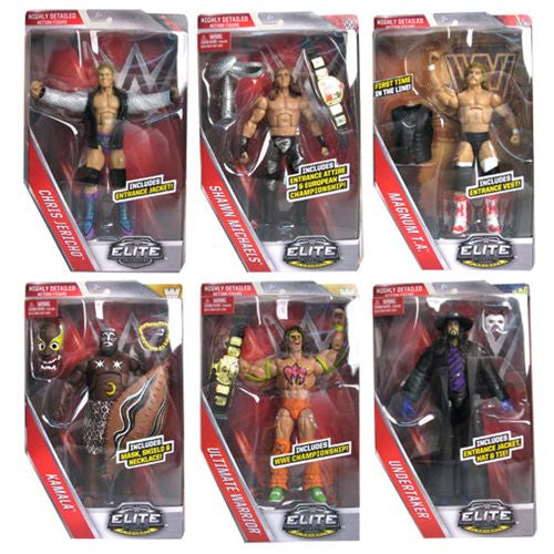 WWE Elite Legends Action Figure Case                        