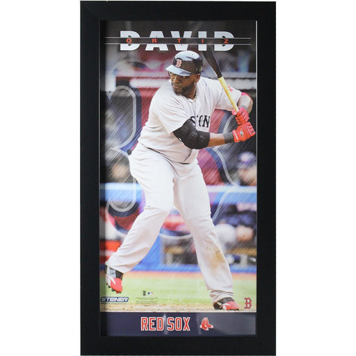 David Ortiz Boston Red Sox 10x20 Player Profile Wall Art