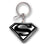 Superman Enamel Key Chain                                   