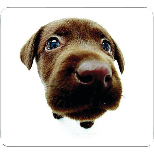 Allsop 29304 Chocolate Lab Mouse Pad