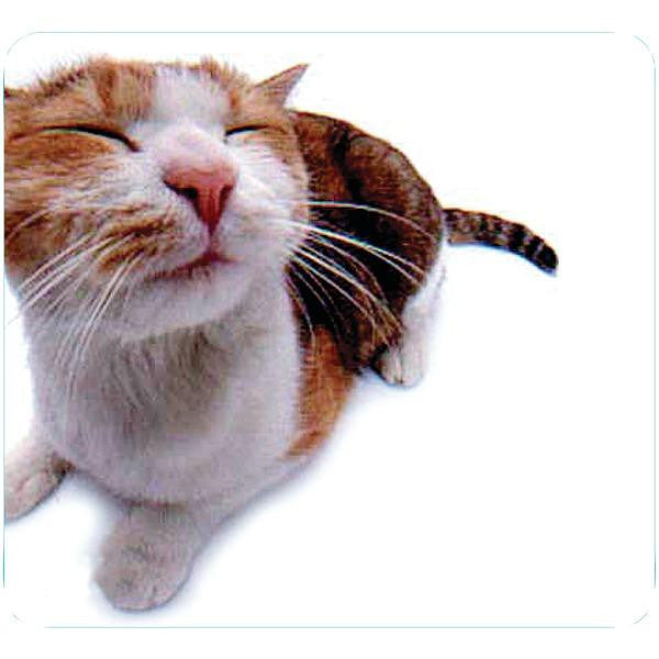 Allsop 29370 Pet-me Cat Mouse Pad