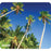 ALLSOP 31427 Naturesmart Mouse Pad (Palm Trees)