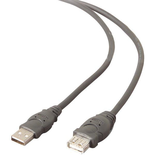 Belkin F3u134-10 A-male To A-female Usb 2.0 Cable (10ft)