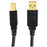 Axis 12-0081 A-male To B-male Usb 2.0 Cable (10ft)