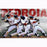 Dustin Pedroia Multi-Exposure 14x20 Photo uns- We Print