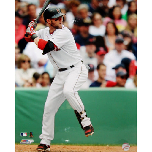 Dustin Pedroia 2009 Red Sox "In The Game" 16x20 Photo uns