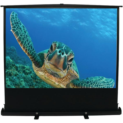 Elite Screens F80nwh 16:9 Ezcinema Series Floor-standing Pull-up Projector Screen (80"; 39.4" X 70