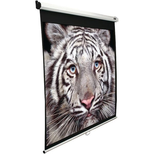 Elite Screens M100s 100" Manual B Series Projection Screen (1:1 Format; 71" X 71")