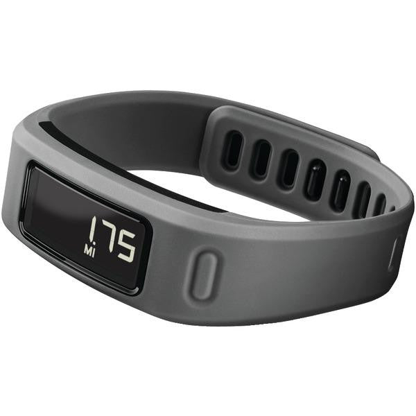 Garmin 010-01225-05 V Vofit(tm) Fitness Band (slate)