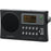 Sangean Wfr-28 Wi-fi Fm-rds Network Music Player-usb Portable Radio