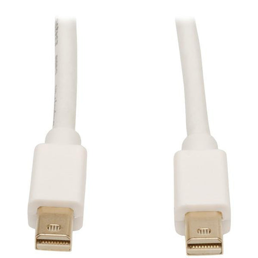 Tripp Lite P584-006 Mini Displayport Cable