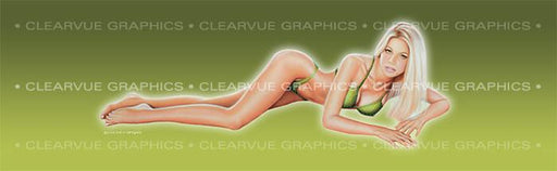 Window Graphic - 20x65 Pin-up Allison