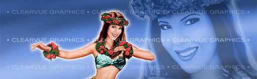 Window Graphic - 20x65 Pin-up Michelle