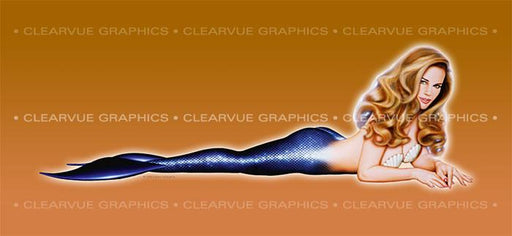 Window Graphic - 30x65 Pin-up Obsidian