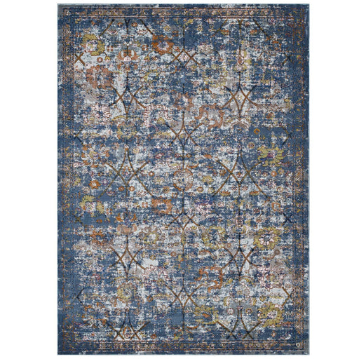 Minu Distressed Persian Medallion 5x8 Area Rug 1091C-58