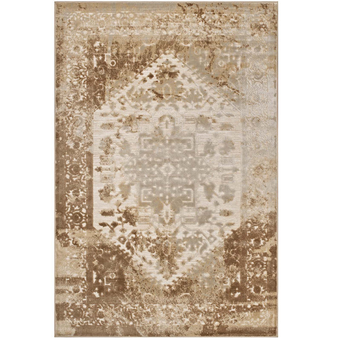 Rosina Distressed Persian Medallion 5x8 Area Rug 1094A-58