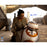 Daisy Ridley Signed Rey Close-Up With BB-8 16x20 Photo ( PSA/DNA & SSM)