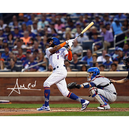 Amed Rosario Signed New York Mets 16x20 Photo