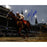 Mike Smith Signed Winning The 144th Kentucky Derby 8x10 Photo