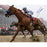 Mike Smith Signed Winning the 2018 Preakness 16x20 Photo