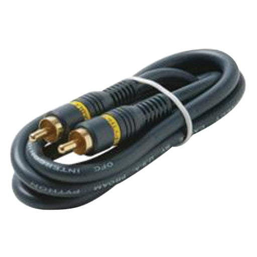 100FT RCA AV CABLE BLUE