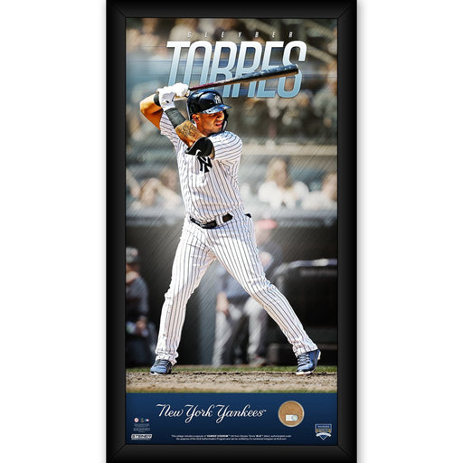 Gleyber Torres New York Yankees 10x20 Player Profile with Game Used Yankee Stadium Dirt