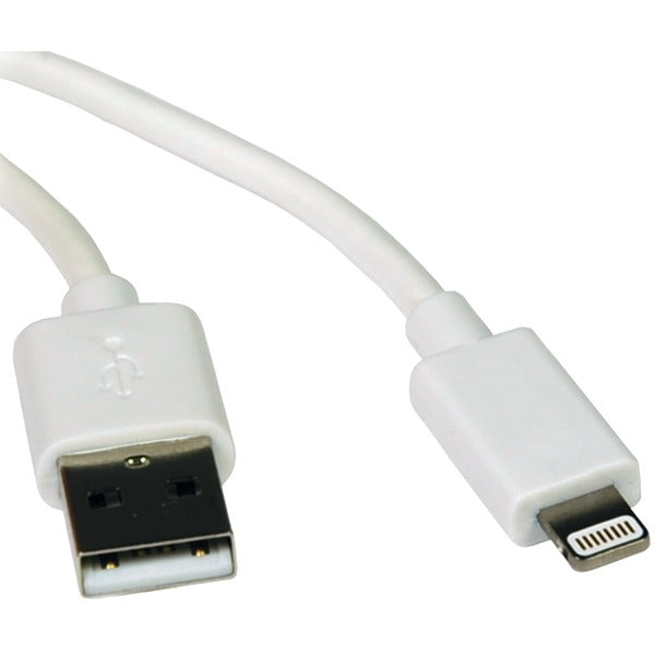 3FT LGHTNG/USB APPLE WHT