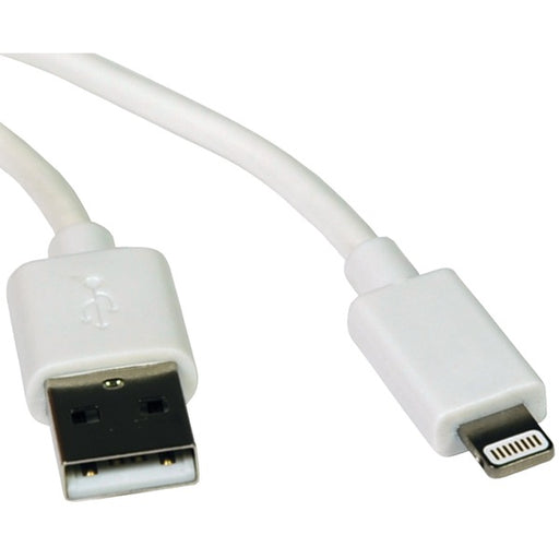 6FT LGHTNG/USB APPLE WHT