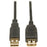 USB EXT CABLE 10 FT