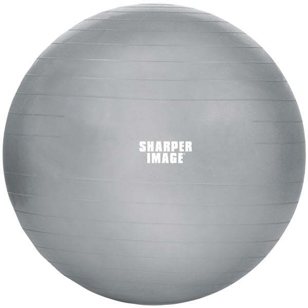 65MM BALANCE BALL SLV