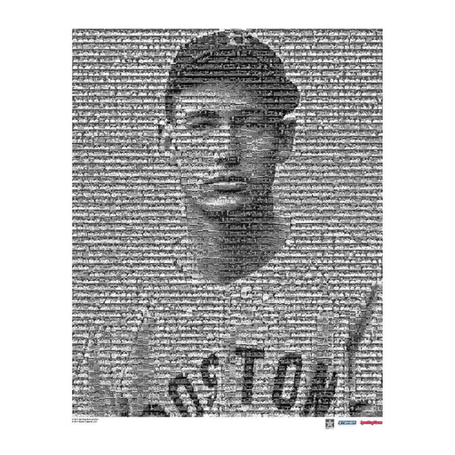 Ted Williams Boston Red Sox Mosaic Framed 16x20 Photo (Ltd of 1 000)