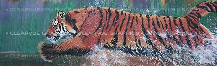 Window Graphic - 16x54 Tiger