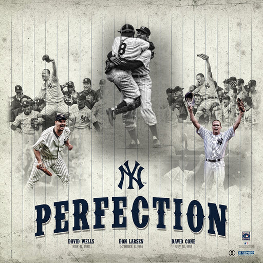 New York Yankees 'Perfection' Cone  Larsen  & Wells  20x20 Photo