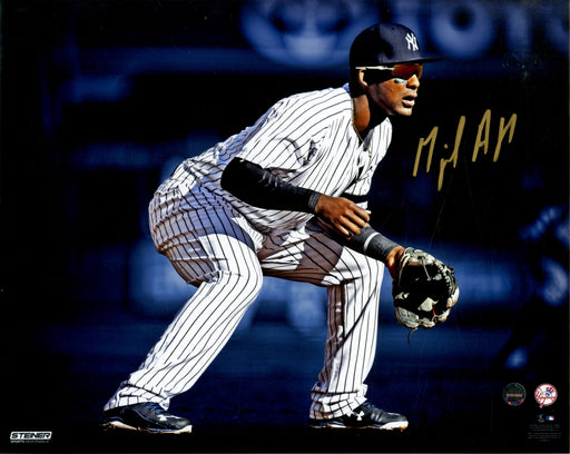 Miguel Andujar New York Yankees Signed 'Fielding' 8x10 Photo