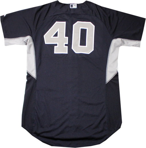 Eury Perez BP Top - NY Yankees 2014 Season #40 Team Issued Road BP Top (HZ556845)